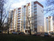 Сделай подарок к новому году